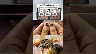 only genius can guess the number 💀🤔 #viral #duet #usa #catvideos #shortvideo #trollface #meme #viral