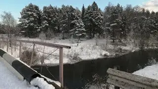 Деревенская природа | 4.02.2025г