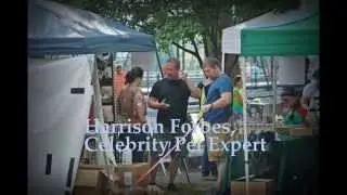 Harrison Forbes at Woofstock