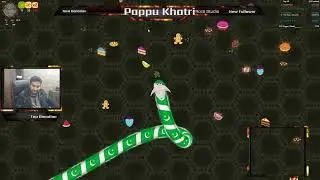 Wormate.io Live game | Pakistani Flag Skin