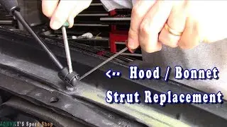 Hood Strut Replacement Titan
