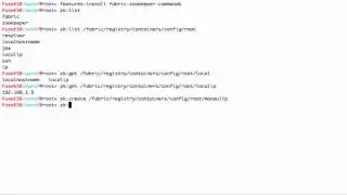 Accessing Zookeeper using the Fabric shell