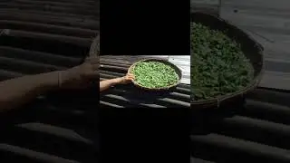 Organic black tea 