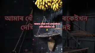 assam village life viral video 🙏#shorts #ytshorts #villagelife
