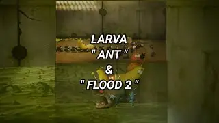 LARVA 