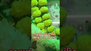 #nisc teric hi seva જય માં વડવારી 🌹
