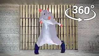 Rat dance - Prison in 360&deg;VR video( Rat dance meme )