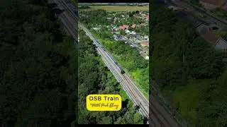 DSB Train 🇩🇰