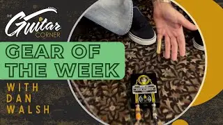 Gear of the Week w/Dan Walsh: Bumble Buzz fuzz pedal | Supro Delta King 10 amp