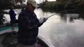 Trask River Tidewater - anchor rope got me!