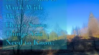 Do You Wish to Work With Me? Here Are Some Things You Need To Know