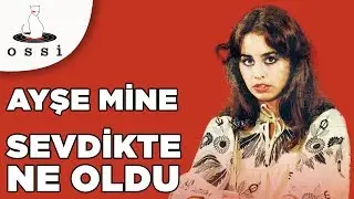 Ayşe Mine - Sevdik de Ne Oldu