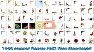 Conner Flower PNG Free Download Clip Arts 2022