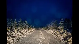 Late night drive on a long dark country road ambience.