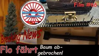 Große Katastrophe! Baum muss geflickt werden & Weiterbau auf dem Märklin Modul.
