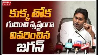 Jagan explains clearly about the dog's tail | Ys Jagan | Mahaa News