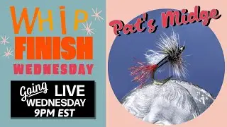 How to tie Pat Dorsey's Pat's Midge -- Live Fly Tying on Whip Finish Wednesday