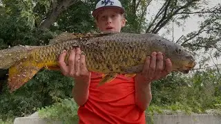 Chasing GIANT Carp and catfish in a MURKY RIVER!!