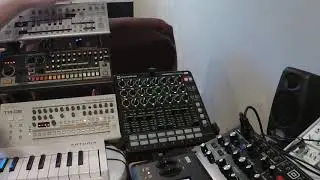 Roland Boutique Acid Jam #8 (TB-03/TR-08/TR-09/Enso Looper)