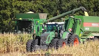 John Deere - Fendt - Bergmann / Körnermaisernte - Harvesting Corn
