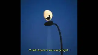 (FREE) Lo-fi Type Beat - Alone at Night