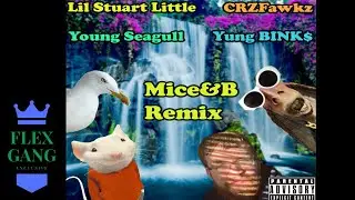 Lil Stuart Little - 