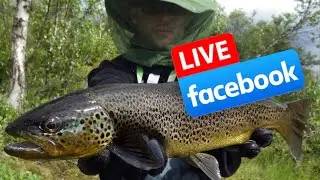 Live Facebook : sp&eacute;cial Laponie ( Kaitum, Tjuonajokk , arctic charrs , ombres records.... )