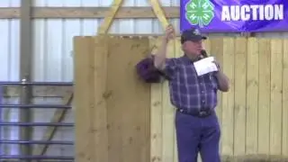 Auction of Champions