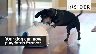 Your dog can now play fetch forever