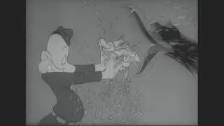 Izzy Ellis Animation