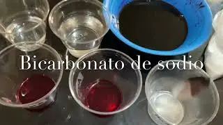 Actividad integradora 1 M&oacute;dulo 15 - Experimento de pH