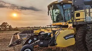 Flaxseed - Two Days Swathing, Two Days Combining