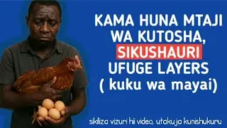 Sikushauri Ufuge Kuku wa Mayai Kama Huna Mtaji wa Kutosha — Ukweli Mgumu Bila Kupendelewa!