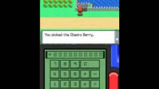 Pokemon Diamond Episode 30