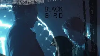 Oswald & Martin / Blackbird / [4x10]