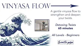 Digestive Detox Vinyasa Flow - 65 minutes - Active and Passive Twisting - Suitable for all levels