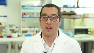Research support at IVIRMA Global