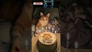 happy birthday my hero 🎉🎂