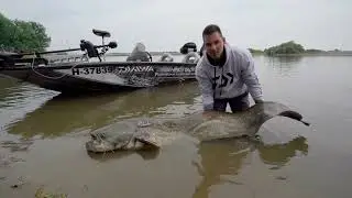 Tavaszi harcsapergetés - Koncz Dávid