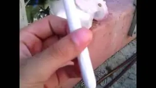 Fat joint