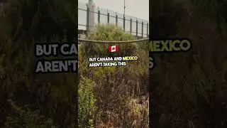 Canada Urged to Push for Early USMCA Renegotiation Amid Tariff Threats