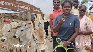 🐂 நாட்டு மாடுகள் அதிகம் இந்த வாரம்|குண்டடம் மாட்டுசந்தை|kundadam sandhai|cow market|cow market