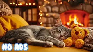12 Hours Of Cat Healing Music 🐈Soothing Sounds for Deep Relaxation🐈Cat Sleep Music 😴 Cat TV