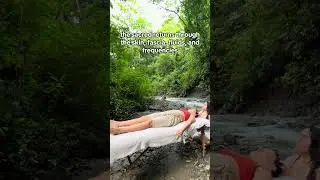 Earth-Based #Somatic #Touch for #healin g
