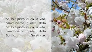Vivere, un&rsquo;esperienza spirituale.