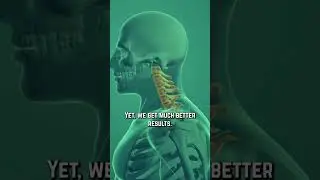 Postural Alignment Therapy & Chiropractic Care