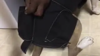 Full Body Weighted Dog Vest Weights On All 4 Legs More Effective -Builds Strength and Improv Reviews