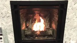 Napoleon HDX35NTSB Starfire Direct Vent Fireplace