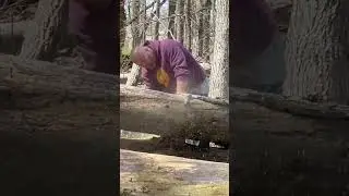 Sawdust flying