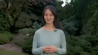 Qigong for the Seasons: Winter - Trailer